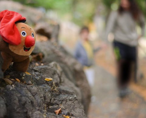 21/22 DESEMBRE - EL NADAL i LA RECERCA DEL TIÓ AL JOU NATURE