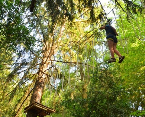 Sortida EL BOSC DEL CEL (Circuit d'Aventura)