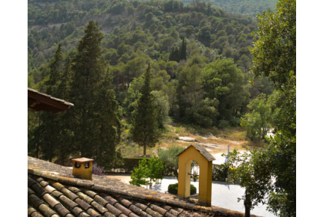 Imagenes web eix 480x387 (27)