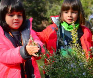 COLONIES-ESCOLARS-EMOCIONS--NATURA-I-AVENTURA