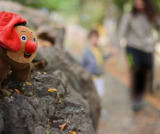 14/15 DESEMBRE - A LA RECERCA DEL TIÓ AL BOSC DEL JOU NATURE