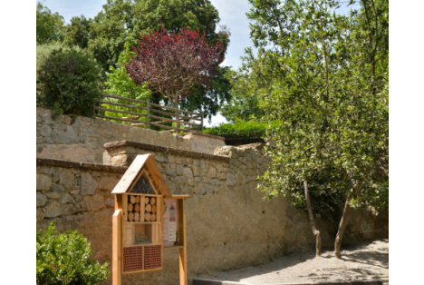 Imagenes web eix 480x387 (22)