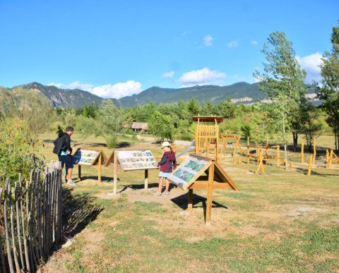 21/22 DESEMBRE - EL NADAL i LA RECERCA DEL TIÓ AL JOU NATURE