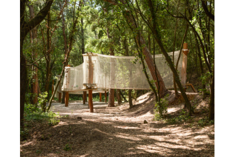 Imagenes web eix 480x387 (21)