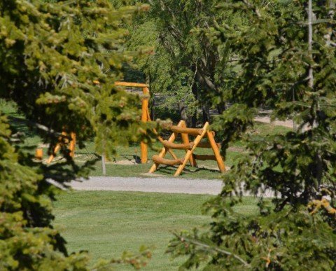 14/15 DICIEMBRE - EN BUSCA DEL TIÓN EN EL BOSQUE DEL JUEVO NATURE