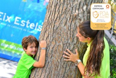 La lucha contra el acoso: más allá de las aulas