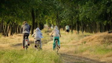 3 Deportes para hacer con niños todo el año