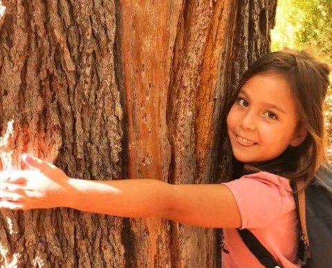 RECONEXIÓN EMOCIONAL Y ECOLÓGICA