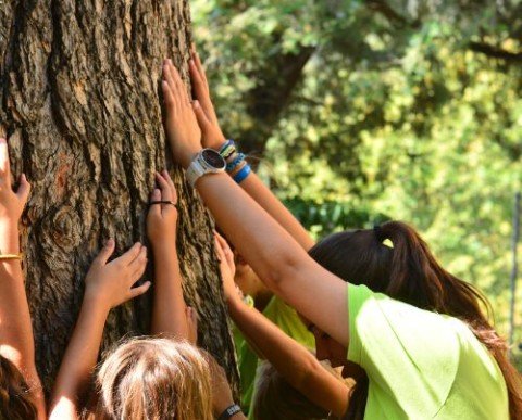 RE-CONEXIO EMOCIONAL Y ECOLÓGICA